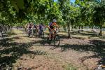 10° MTB Tra le Vigne del Ponte